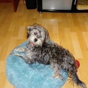 Meet your Posher, Claude corbin